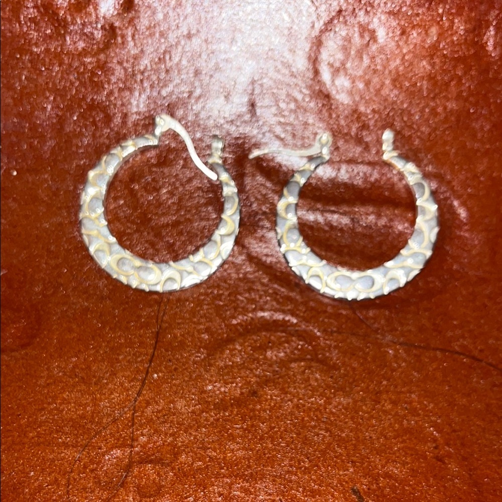 Elegant Gold Hoop Earrings